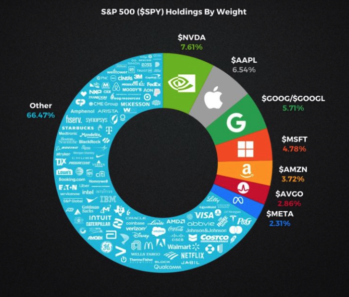 Liquidity v Fundamentals: Lessons for Investors